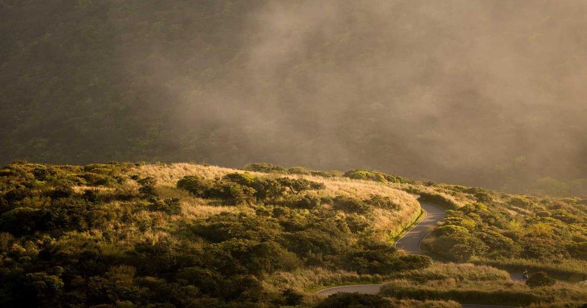 Banner Webinar: Masa Depan Pembelajaran Berbasis AI